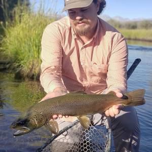 Meet your Posher, Micah